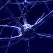 neuropsichiatriapic